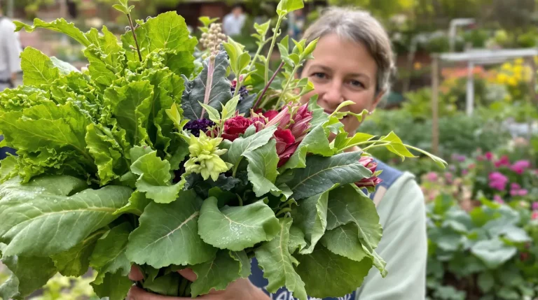 Légumes-feuilles : 7 incontournables au potager pour des assiettes débordantes de vitamines !